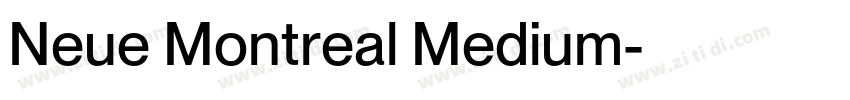 Neue Montreal Medium字体转换